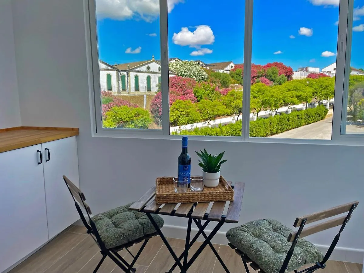 Apartamento La Veleta - Ole Solutions Apartment Jerez de la Frontera Spain