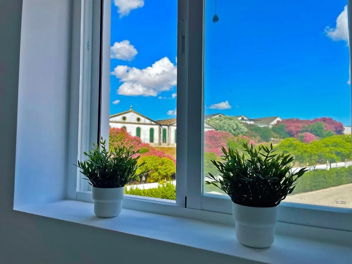 Apartamento La Veleta - Ole Solutions Apartment Jerez de la Frontera