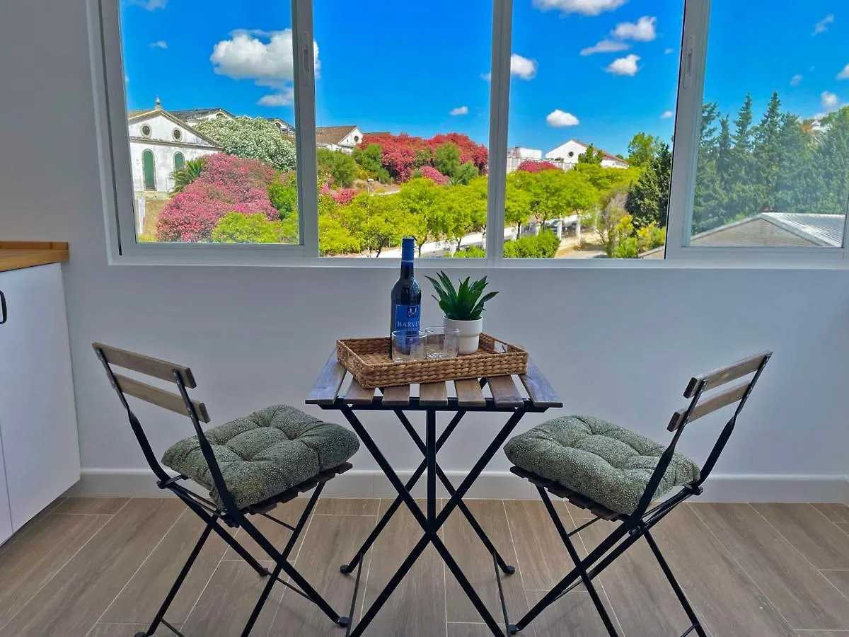 Apartamento La Veleta - Ole Solutions Apartment Jerez de la Frontera 0*,
