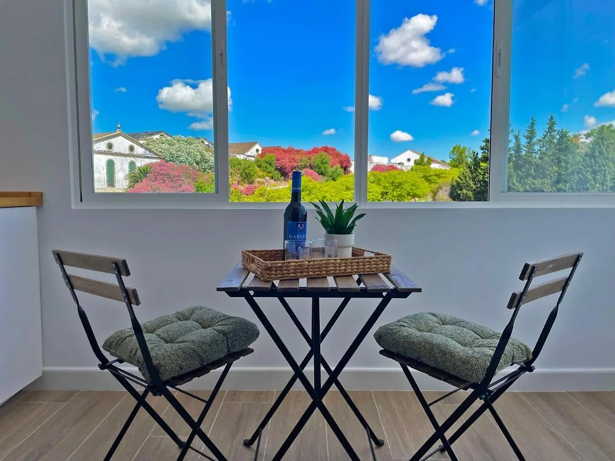 Apartamento La Veleta - Ole Solutions Apartment Jerez de la Frontera